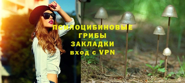дживик Балахна
