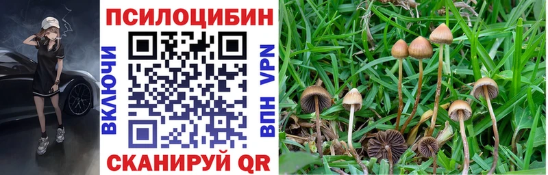 Галлюциногенные грибы Magic Shrooms  Чехов 